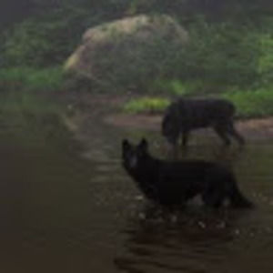 Meet your Posher, Aryiah